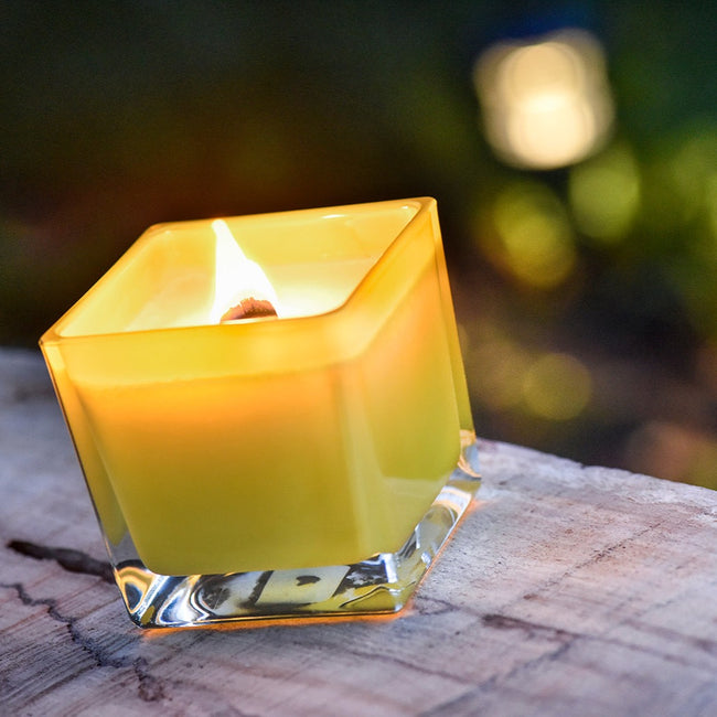 Citronella Coconut Wax Candle 250ml/8.5oz